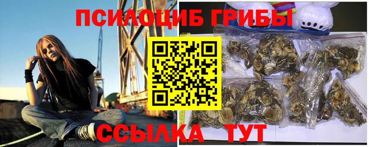 Галлюциногенные грибы Magic Shrooms  Галлюциногенные грибы мицелий  Свободный  Вход с VPN 