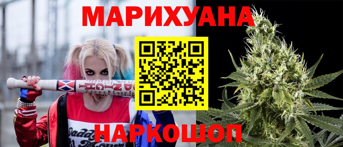 Канабис планчик Свободный